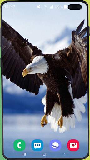 Eagle Wallpaper Best HD screenshot 13