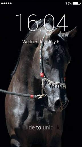 Horse Lock Screen 6 تصوير الشاشة