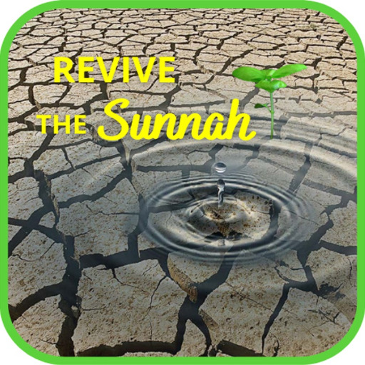 Revive The Sunnah иконка