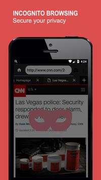 Web Browser screenshot 2
