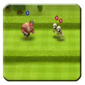 Guide for Castle Crush Free Strategy Card Games 1.0.0