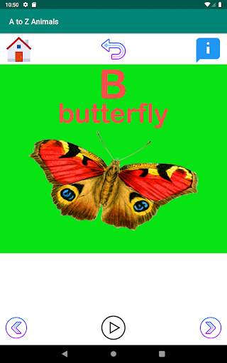 A to Z Animal Names screenshot 3