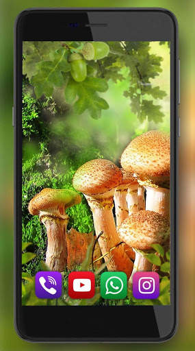 Mushrooms Forest Live Wallpaper screenshot 5