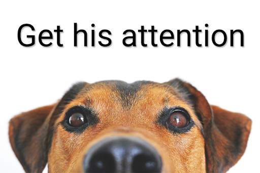 Doggy Trainer - Clicker & Whistle 2 تصوير الشاشة