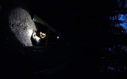 Power saver FlashLight screenshot 13