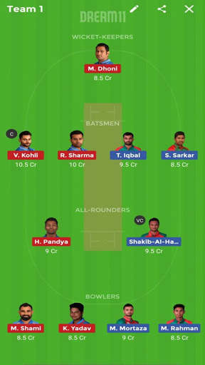Dream11 Winner : Dream11 Expert Prediction Guide screenshot 3