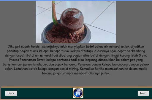 Cara Membuat Bonsai Kelapa скриншот 5