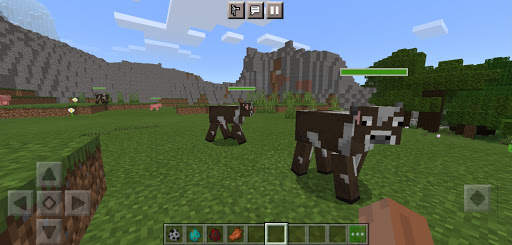 Damage Indicator Health Mod Minecraft screenshot 3