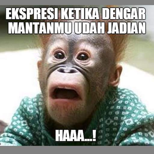 Gambar Lucu 1.3