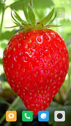 Strawberry Wallpaper HD screenshot 1
