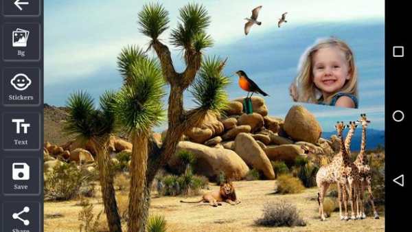 Wild Animal Photo Editor screenshot 4