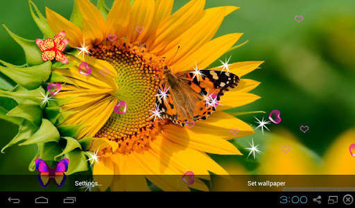 3D Sunflower Wallpaper - Screen Lock, Sensor, Auto screenshot 8