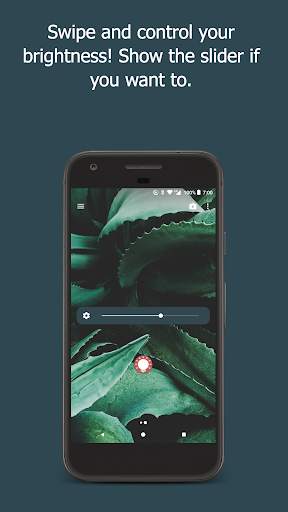 DigiLux: Fingerprint Gestures for Phone Brightness screenshot 3