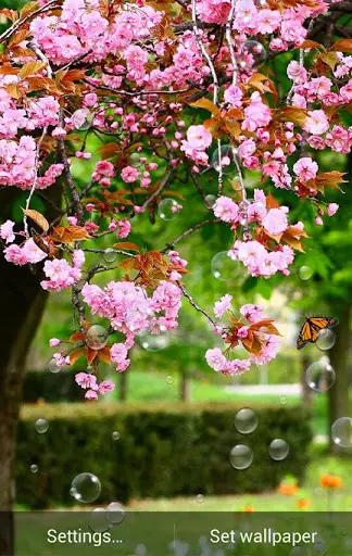 Spring Flower Live Wallpaper screenshot 1