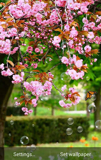 Spring Flower Live Wallpaper screenshot 1