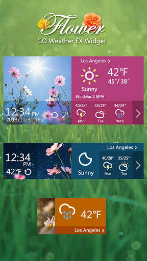 Flower GO Weather Widget Theme screenshot 2