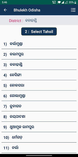 Odisha Bhulekh Land Record screenshot 3