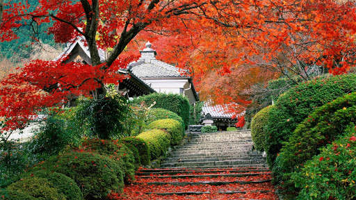 Garden HD Wallpaper screenshot 5