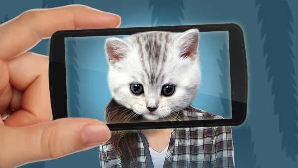 Face scanner: What cat 2 screenshot 3