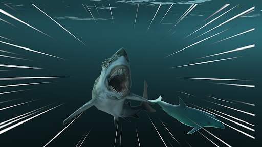 Hungry Dolphin : Dolphin Games screenshot 3