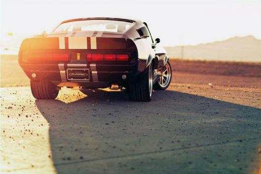 Mustang Wallpapers screenshot 4