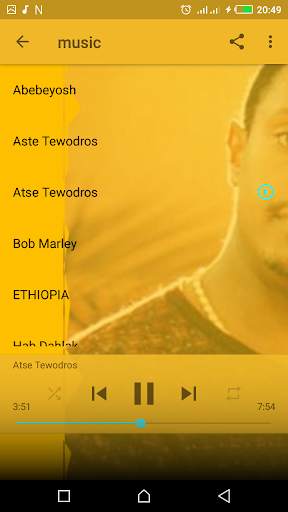 Teddy Afro Top - New Songs Without Internet screenshot 4