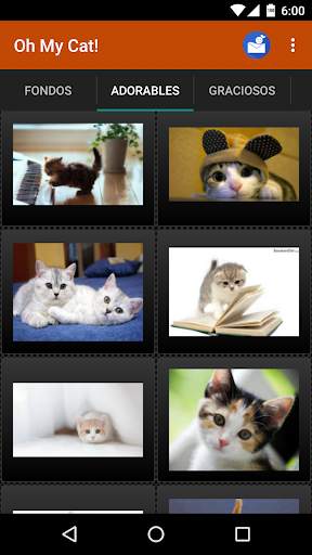 Gatos Fondos y fotos graciosas screenshot 3