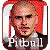 Pitbull Songs 2018 10.1a