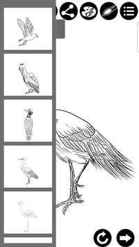 How To Draw Birds screenshot 1