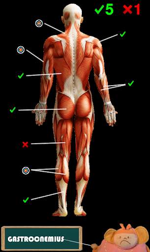 Funny anatomy screenshot 6