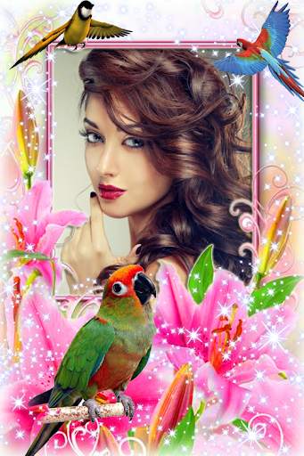 Bird Photo Frame screenshot 3