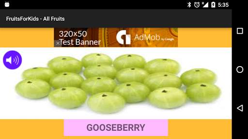 Fruits with name & picture screenshot 3