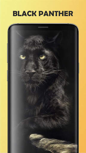Black Panther Wallpaper screenshot 6