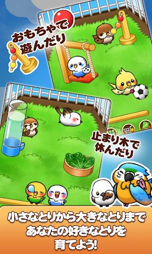 バードライフ　-鳥さん育成ゲーム- screenshot 11