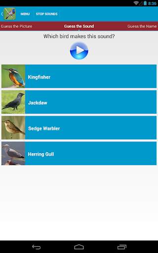 UK Birds Sounds Free स्क्रीनशॉट 13