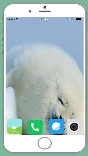 Harb Seal Full HD Wallpaper screenshot 6