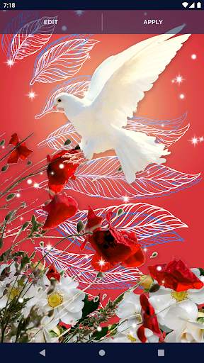 Dove Romantic Live Wallpaper screenshot 4