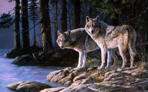 Wolf Wallpaper screenshot 6