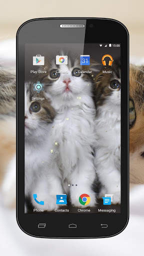 Kittens Live Wallpaper screenshot 4