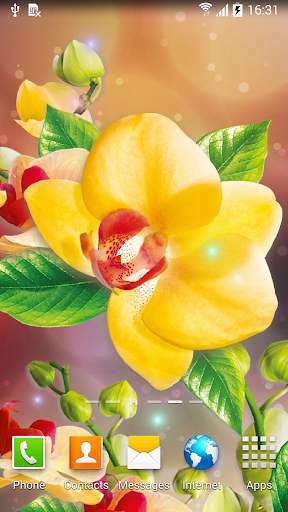 Water Drops Live Wallpaper 3 تصوير الشاشة