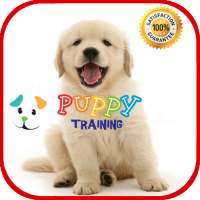Puppy Training on 9Apps