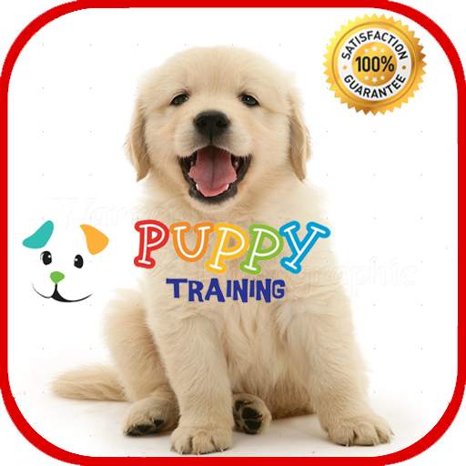 Puppy Training 4.0
