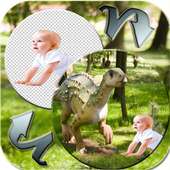 Dinosaur Background Changer