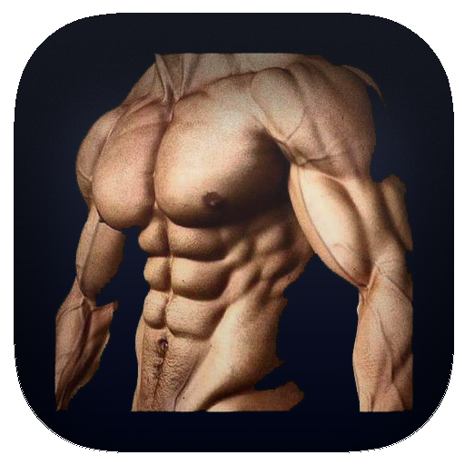 exercise ABS 2018 PRO иконка