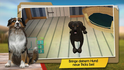 Dog Hotel Premium screenshot 2