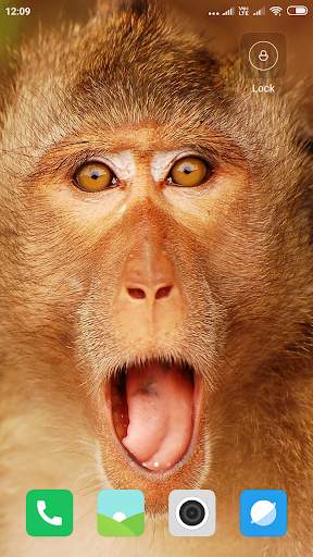 Monkey Wallpaper screenshot 16