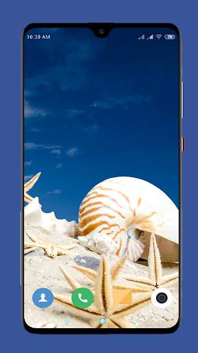 Seashell Wallpaper HD screenshot 9