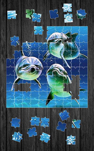 Dolphins Jigsaw Puzzle Game screenshot 7