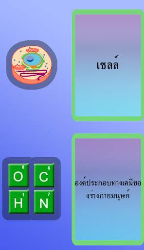 กายวิภาคศาสตร์ screenshot 6