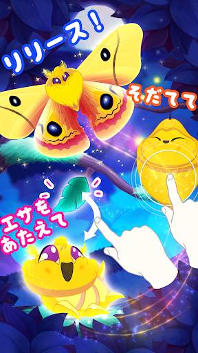 フラッター:スターライト screenshot 4